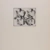 Andre Thomkins, Quadroculiste, Radierung