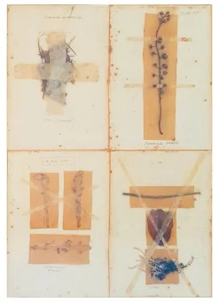 Anne und Patrick Poirier, Zeitschrift Herbier de Bordeaux, 1970er, Mixed Media