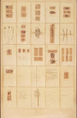 Anne und Patrick Poirier, Zeitschrift Herbier de Bordeaux, 1970er, Mixed Media