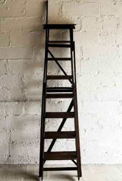 Antike klappbare Bibliotheksleiter, Belgien, 1920er
