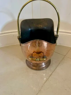 Antiker George III Quality Kohlekübel, 1800
