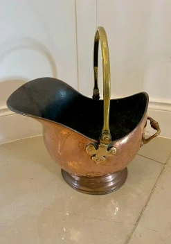 Antiker George III Quality Kohlekübel, 1800