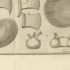 Antiker Stich von Inca Antiquities from Peru von Jorge Juan & Ulloa, 1748