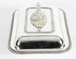 Antiker Vorspeisenteller von Matthew Linwood, 1800er, 2er Set