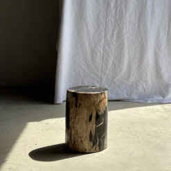Beistelltisch aus schwarzem versteinertem Holz mit beigefarbenen Seiten, 1980er