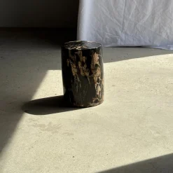 Beistelltisch aus schwarzem versteinertem Holz mit beigefarbenen Seiten, 1980er