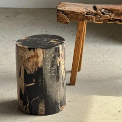 Beistelltisch aus schwarzem versteinertem Holz mit beigefarbenen Seiten, 1980er