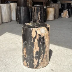 Beistelltisch aus schwarzem versteinertem Holz mit beigefarbenen Seiten, 1980er