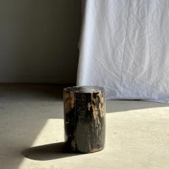 Beistelltisch aus schwarzem versteinertem Holz mit beigefarbenen Seiten, 1980er