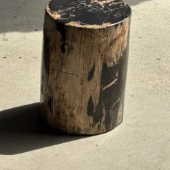 Beistelltisch aus schwarzem versteinertem Holz mit beigefarbenen Seiten, 1980er