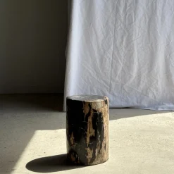 Beistelltisch aus schwarzem versteinertem Holz mit beigefarbenen Seiten, 1980er