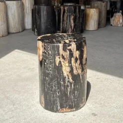 Beistelltisch aus schwarzem versteinertem Holz mit beigefarbenen Seiten, 1980er