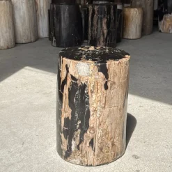 Beistelltisch aus schwarzem versteinertem Holz mit beigefarbenen Seiten, 1980er