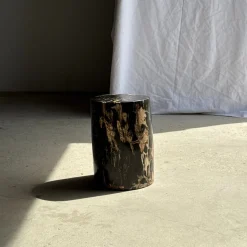 Beistelltisch aus schwarzem versteinertem Holz mit beigefarbenen Seiten, 1980er