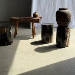 Beistelltisch aus schwarzem versteinertem Holz mit beigefarbenen Seiten, 1980er