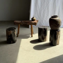 Beistelltisch aus schwarzem versteinertem Holz mit beigefarbenen Seiten, 1980er