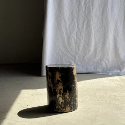 Beistelltisch aus schwarzem versteinertem Holz mit beigefarbenen Seiten, 1980er