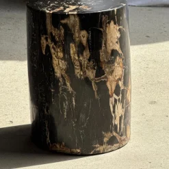 Beistelltisch aus schwarzem versteinertem Holz mit beigefarbenen Seiten, 1980er
