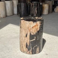 Beistelltisch aus schwarzem versteinertem Holz mit beigefarbenen Seiten, 1980er