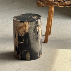 Beistelltisch aus schwarzem versteinertem Holz mit beigefarbenen Seiten, 1980er