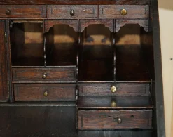 Bibliotheksschreibtisch aus geschnitzter englischer Eiche mit Messinggriffen mit Löwenkopf, 1860er