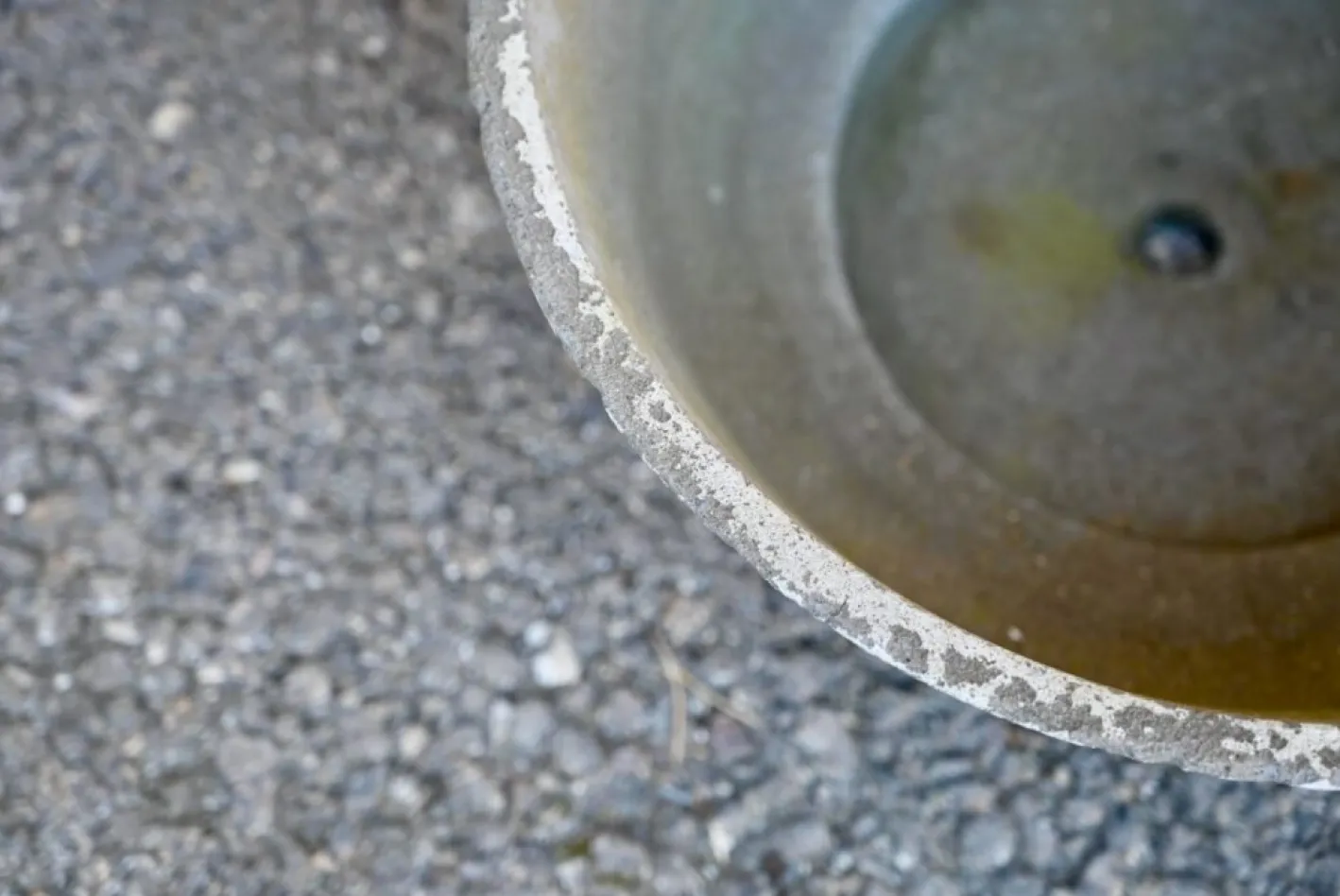 Brutalistischer Blumentopf aus Beton