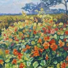 BVdVelden, Nasturtium, 1966, Ölgemälde auf Leinwand
