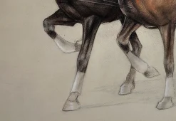 Cecil Aldin, Trabpferde an einer leichten vierrädrigen Karrenfalle, Kreidezeichnung, gerahmt