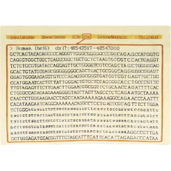 Cf Gattaca Rugsby Catters Handcraft