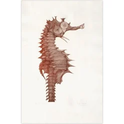 Claude Piechaud, Hyppocampe II, 1980, Radierung