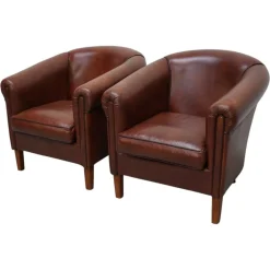 Cognacfarbener niederländischer Vintage Ledersessel, 2er Set