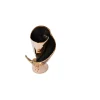 Conchiglia I von Irene Maria Ganser