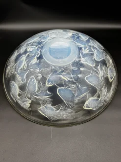 Cyprins Tasse von R. Lalique, 1921
