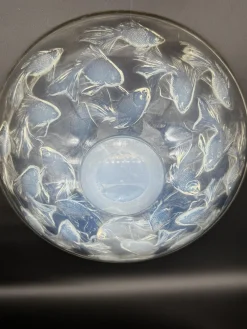 Cyprins Tasse von R. Lalique, 1921