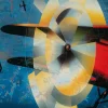 Danuta Dabrowska-Siemaszkiewicz, Hommage a Amelia Earhart, 2010er, Siebdruck