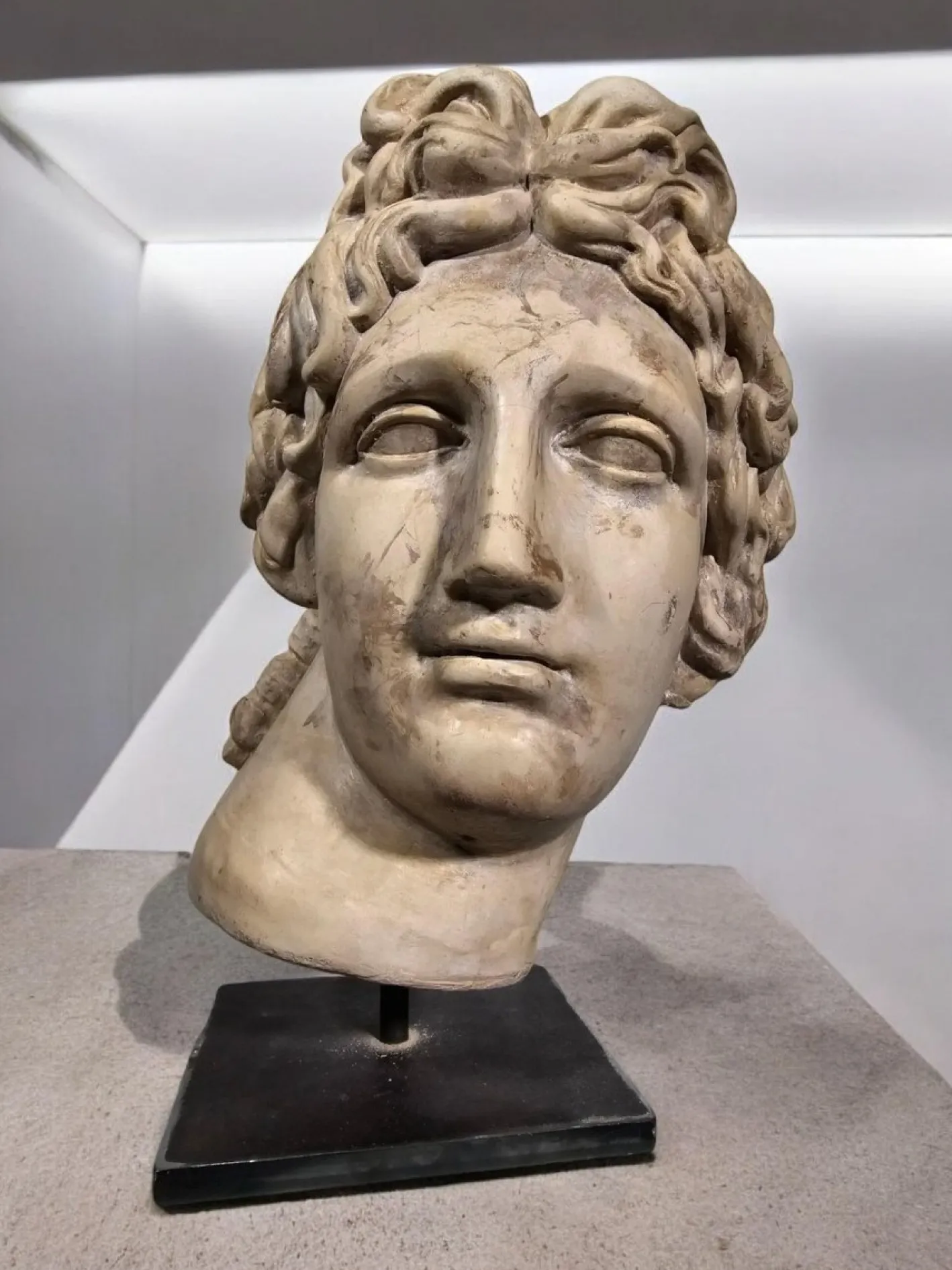 Dekorativer Apollokopf, 1950, Stein