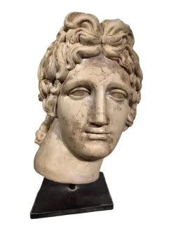 Dekorativer Apollokopf, 1950, Stein