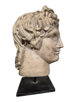 Dekorativer Apollokopf, 1950, Stein