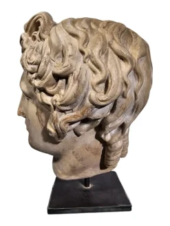 Dekorativer Apollokopf, 1950, Stein