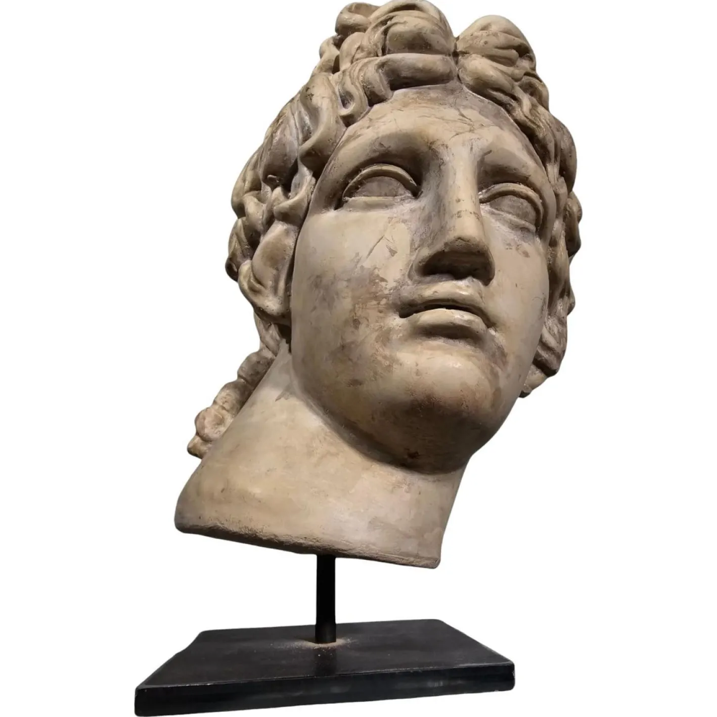 Dekorativer Apollokopf, 1950, Stein