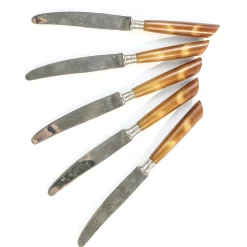 Deutsche Vintage Bakelit Messer, 1950er, 5er Set