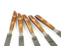 Deutsche Vintage Bakelit Messer, 1950er, 5er Set