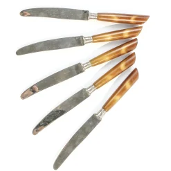 Deutsche Vintage Bakelit Messer, 1950er, 5er Set