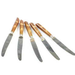 Deutsche Vintage Bakelit Messer, 1950er, 5er Set