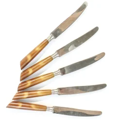 Deutsche Vintage Bakelit Messer, 1950er, 5er Set