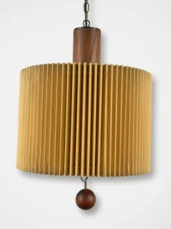 Dänischer Vintage Kronleuchter, 1960er