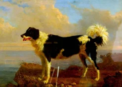 Dog - Öl auf Leinwand von Filippo Palizzi - Zweite Hälfte des 19. Jh. 1950-1860
