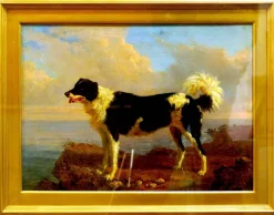 Dog - Öl auf Leinwand von Filippo Palizzi - Zweite Hälfte des 19. Jh. 1950-1860
