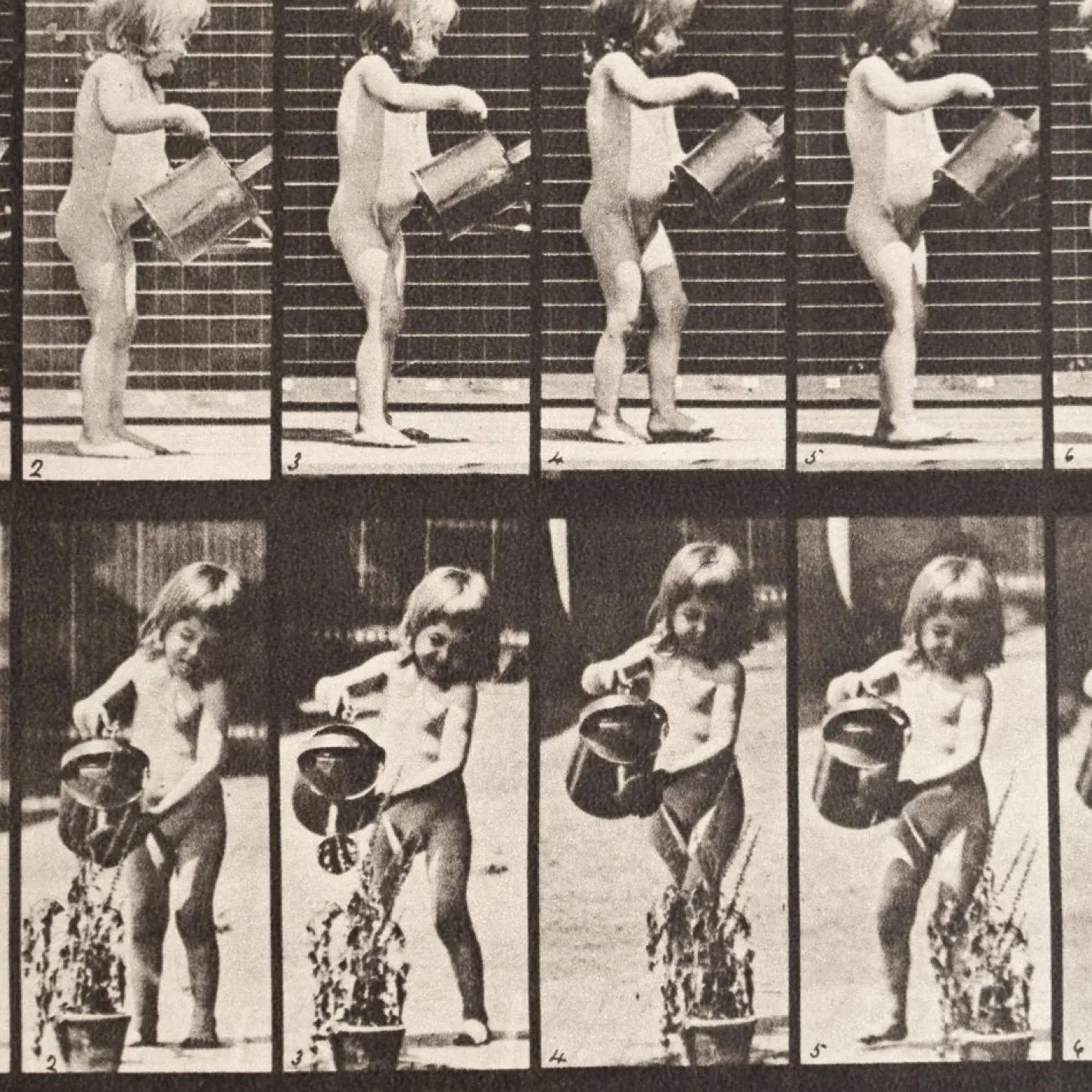 Eadweard Muybridge, Schwarz-Weiß-Bild, 1982, Fotografie, Gerahmt
