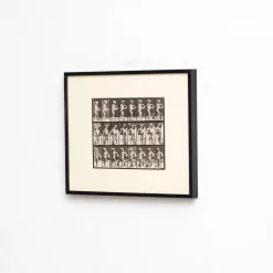 Eadweard Muybridge, Schwarz-Weiß-Bild, 1982, Fotografie, Gerahmt
